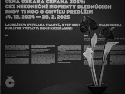 20241213-DSCF4451